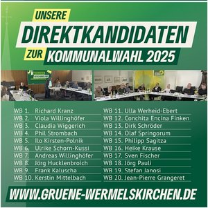 Grafik Auflistung Grüne Direktkandidat*innen