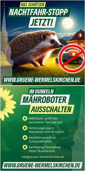 Grafik Igel mit Rasenroboter
